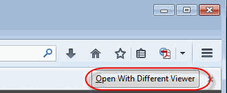 'Open with Different Viewer' button.