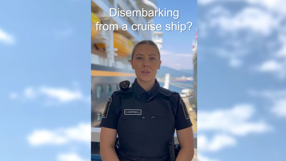 Cruise travel: Be prepared to declare