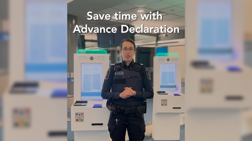 Advance Declaration: Save time at the airport