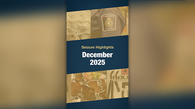 Seizures highlights for the month of December