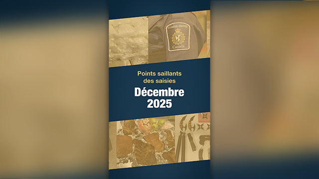 Points saillants des saisies pour le mois de décembre