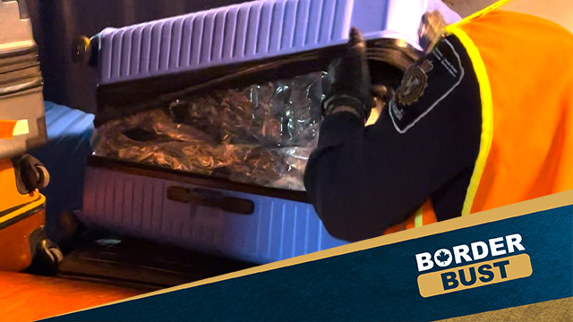 Stopping drug smugglers in their tracks